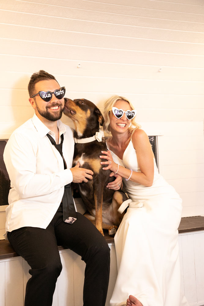 Wedding couple posing with their dog inside a photo booth wearing novelty glasses